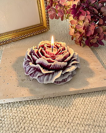Świeca sojowa ekologiczna dekoracyjna piwonia peonia "Peony Queen" 80x35mm, Coccola JEWELLERY