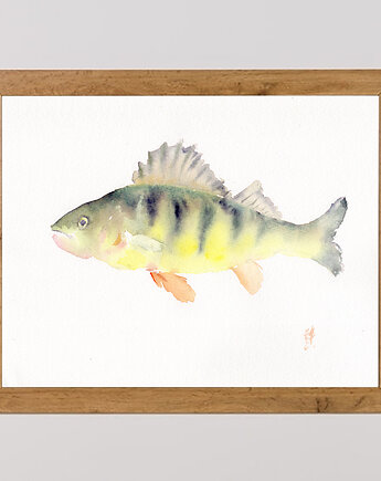 Oryginalna akwarela. Ryba, alquadro