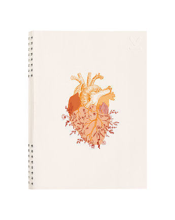 NOTES SERCE KREMOWE B5  160 stron  SZARE LINIE, Coverlover