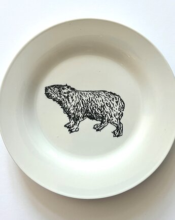 Kapibara wielka, arent plates