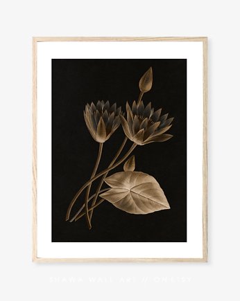 PLAKAT ilustracja, grafika z kwiatem, obraz, black dot studio