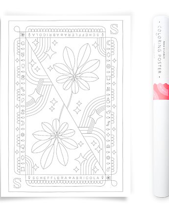 Plakat do Kolorowania Roślina Doniczkowa Schefflera 50x70cm, Anna Grunduls Design