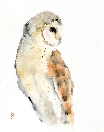 Oryginalna akwarela. Sowa, alquadro