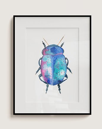 Plakat Żuk tęczowy, mi_karan art