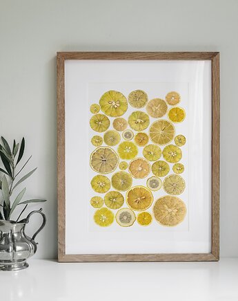Plakat- Cytryny, HERBAROOM