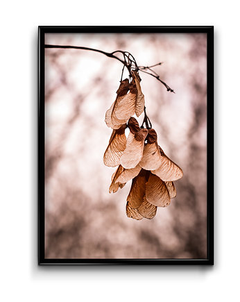 Plakat Klon, Bury Lis