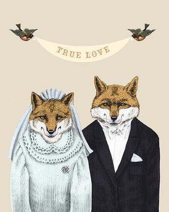 seria true love fox, Tiri riri