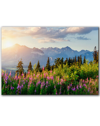 Obraz na płótnie - 100x70 cm Tatry (1-0724), raspberryEM