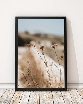 PLAKAT natura foto skandynawski  botaniczny, black dot studio