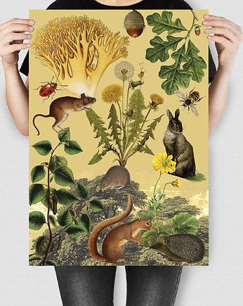 Kolaż Quercus - Plakat ze Zwierzętami, Glows.Design