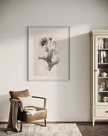 Mak  Fine Art Print, Margo Hupert