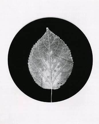 Listek_1_, PAPER AND LIGHT