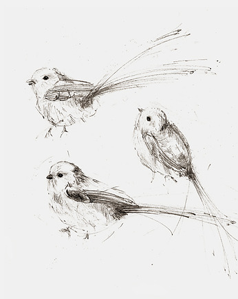 Raniuszki Fine Art Print, Margo Hupert