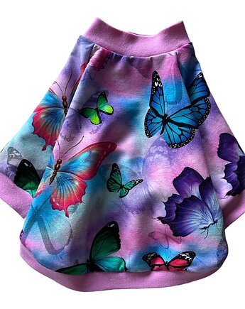 Bluza dla psa z raglanowym rękawem Mozaika XXS, Psia szafa