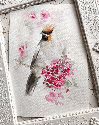 Akwarela jemiołuszka, Wiktoria Borys Art