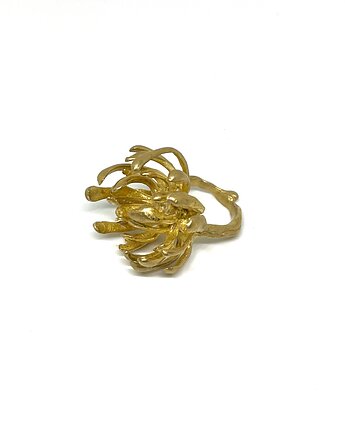 Pierścionek Chrysanthemum, Les Iris Fleurissent