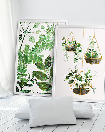 Grafiki botaniczne  50x70 cm, Anita Tomala