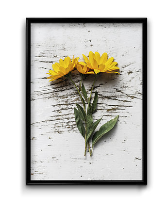 Plakat Żółte Kwiaty, OSOBY - Prezent dla taty