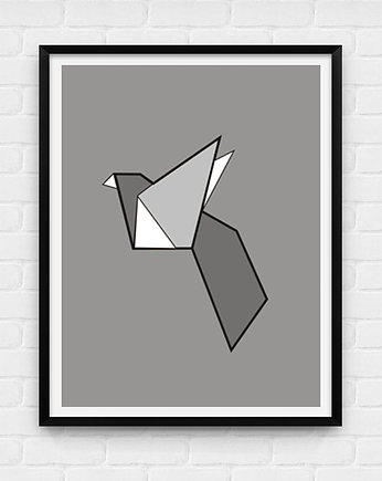 POSTER -  Gołąb- 30x40 cm, KOKO by HOKO