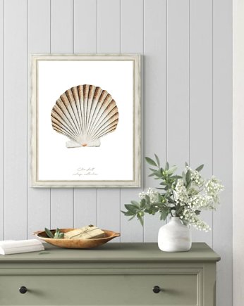 PLAKAT muszla, vintage, ilustracja, black dot studio