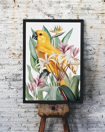 Plakat Papuga i kwiaty, HOG STUDIO