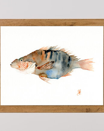 Oryginalna akwarela. Ryba, alquadro