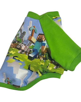 Bluza dla psa z raglanowym rękawem MINECRAFT, Psia szafa