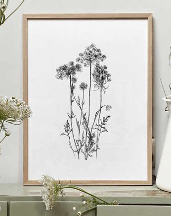 Aminek 30x40 - grafika botaniczna, beata sketches
