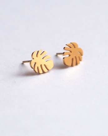 MONSTERA kolczyki sztyfty MINI, kaktusia