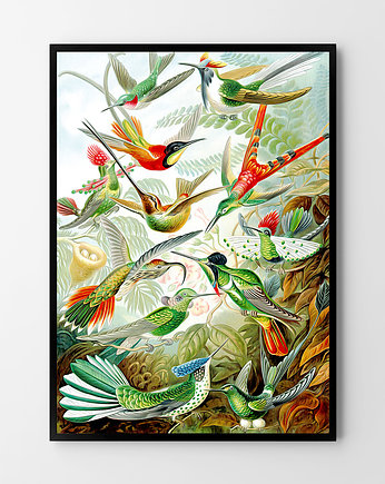 Plakat Rajskie ptaki, OKAZJE - Prezent na Baby shower