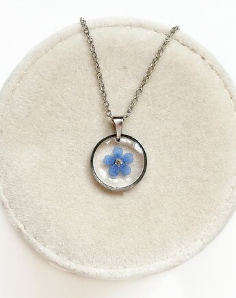 Naszyjnik z niezapominajką, Colie