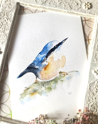 Akwarela kowalik, Wiktoria Borys Art