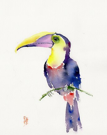 Oryginalna akwarela. Tukan, alquadro