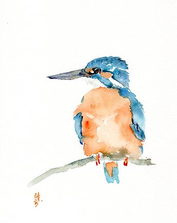 Oryginalna akwarela. Zimorodek, alquadro