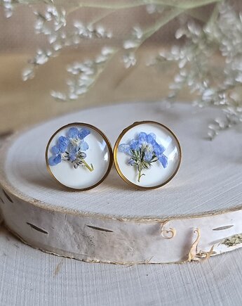 Wieczne kwiaty niezapominajki złote wkręty kolczyki, zkwiatem