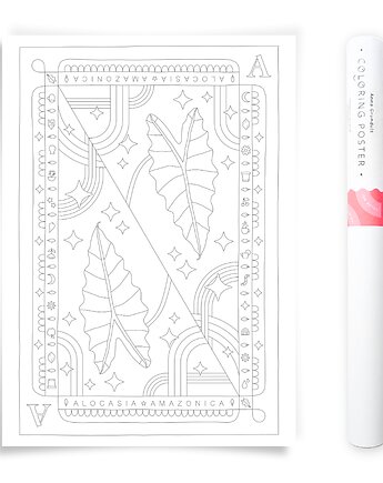 Plakat do Kolorowania Roślina Doniczkowa Alokazja 50x70cm, Anna Grunduls Design
