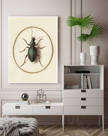 PLAKAT z owadem, plakat z żukiem, plakat owad, black dot studio