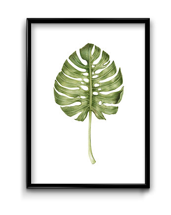 Plakat - Bananowiec, Bury Lis