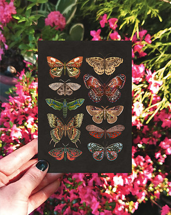 Kartka motyle, kartka okolicznościowa, pocztówka kwiaty, karta botaniczna, ZANETA ANTOSIK PRINTS