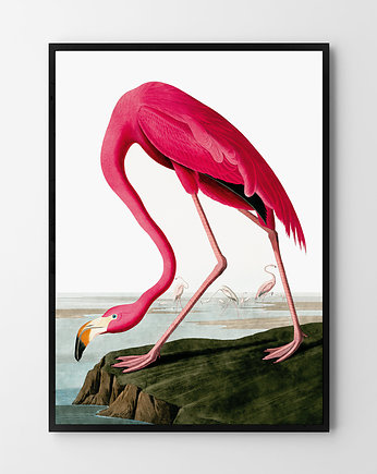 Plakat Flaming vintage, HOG STUDIO