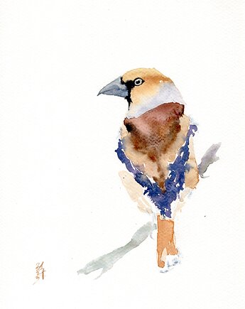 Oryginalna akwarela. Grubodziób, alquadro