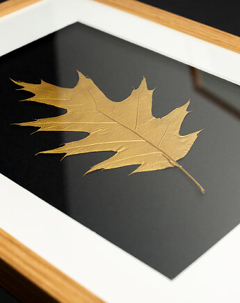 Złoty Liść Dębu. Obraz Botaniczny. Drewniana Ramka Dąb 20x30cm, Kuźnia Obrazów
