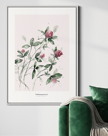 Koniczyna /Fine Art print, Margo Hupert