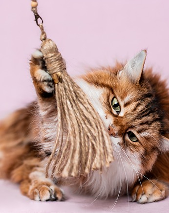 Wędka WILD CAT z chwostem CLASSIC, THE MISS CAT