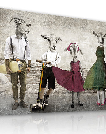 Obraz na płótnie -KOZY 120x80, NOWdeco