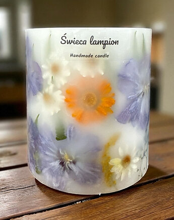 Lampion Botaniczny - Czułość Natury, ploty doroty