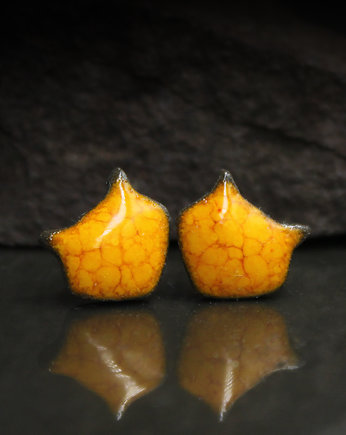 Lisy/stal chirurgiczna, Magda Łysiak