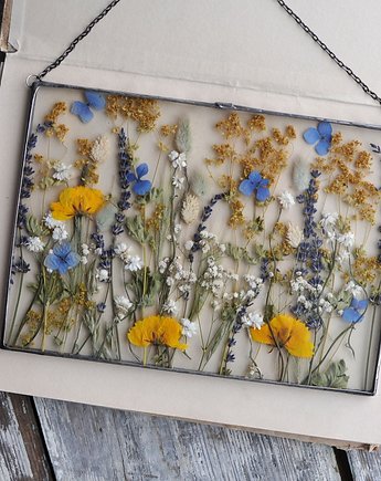 Wiosna 2026, MARIAELA