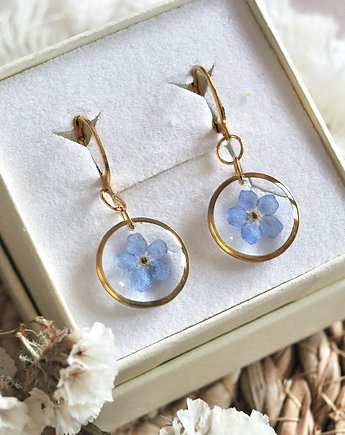 Kolczyki z niezapominajkami, Colie