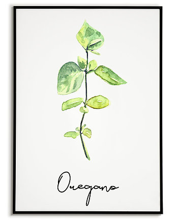 Plakat botaniczny GRAFIKA roślina ZIOŁA oregano, Bajkowe Obrazki